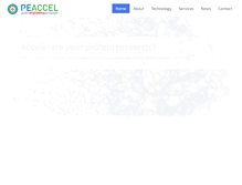 Tablet Screenshot of peaccel.com